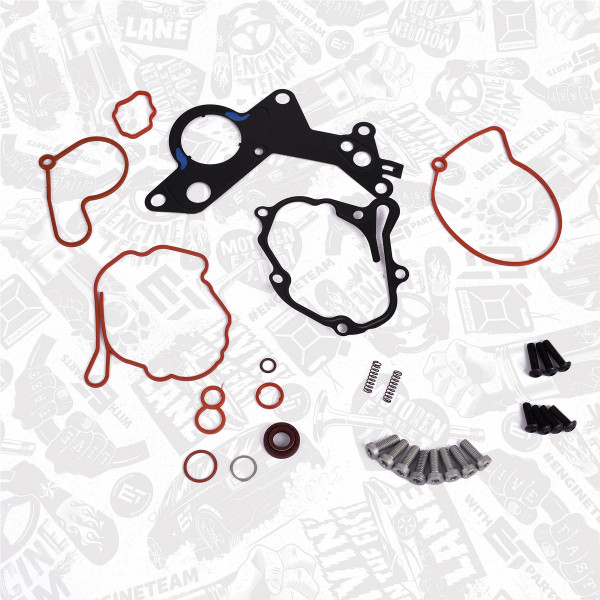 Reparatursatz, Unterdruckpumpe (Bremsanlage) - TM0025 ET ENGINETEAM - 038145209, 038145209A, 038145209C