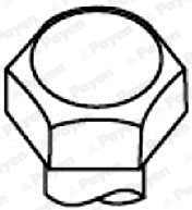Cylinder Head Bolt Set - HBS464 PAYEN - 5040815468, 14-10016-01, 22-17028B