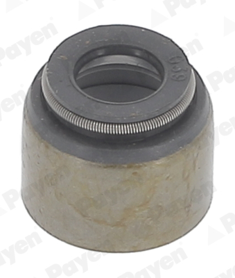 Seal Ring, valve stem - KJ211 PAYEN - 22224-11000, MD000508, 22224-35000