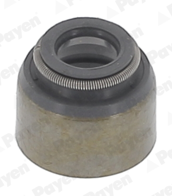 Seal Ring, valve stem - PA079 PAYEN - 1320753F00, 4416537, 7701064021
