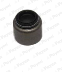 PA5048, Seal Ring, valve stem, PAYEN, 0K65A10155A, 12019700