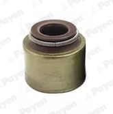 Seal Ring, valve stem - PA659 PAYEN - RF0110155, RF01-10-155A, 12023200