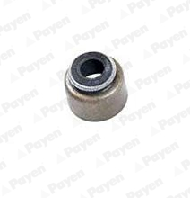 Seal Ring, valve stem - PB356 PAYEN - 12211PZ1004, 12014300, 12020308