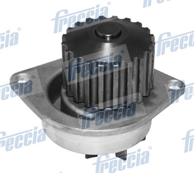 Water Pump, engine cooling - WP0248 FRECCIA - 1201.58, 21010-6F900, GWP346