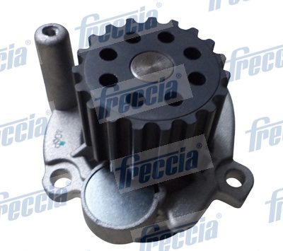 Water Pump, engine cooling - WP0456 FRECCIA - 03G121011, 03L121011G, MN980447