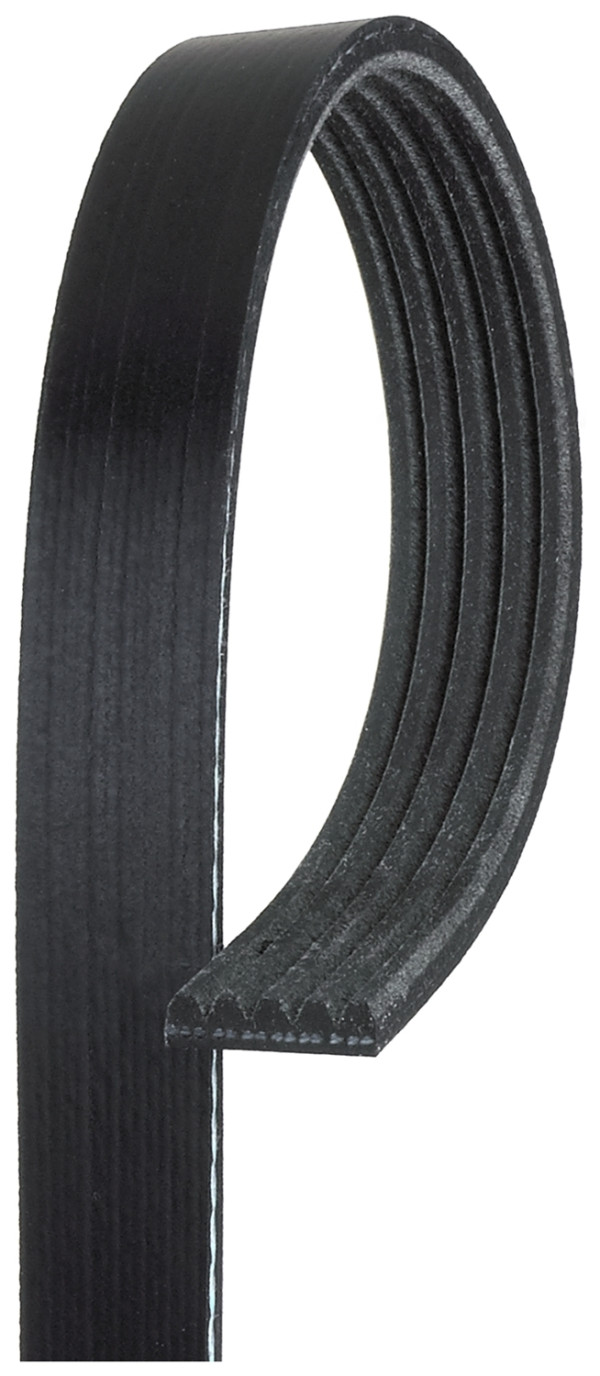 V-Ribbed Belt - 5PK1133 GATES - 079903137T, 11720-BN700, 25212-39800