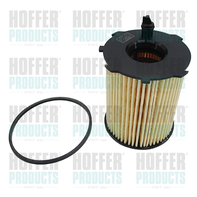 Olejový filtr - HOF14049G HOFFER - 1109T3, 11427805978, 1145954
