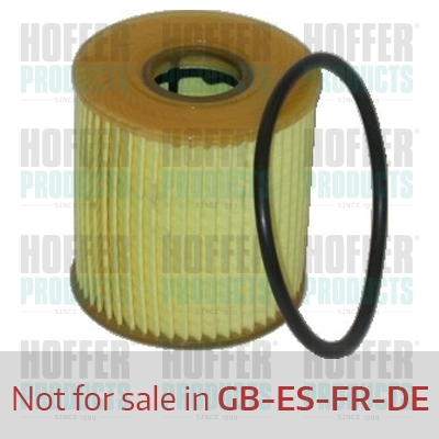 Olejový filtr - HOF14084 HOFFER - 1109L6, 11427557012, 11427622446