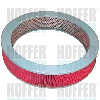 Air Filter - HOF18017 HOFFER - 1654689W00, 16546U6710, 16546C5500