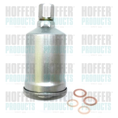 Kraftstofffilter - HOF4040/1 HOFFER - 133133511, 25055846, 464605