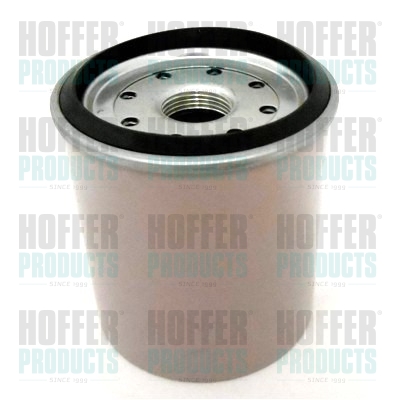 Fuel Filter - HOF4120 HOFFER - 4723905, 857633, 1457434448