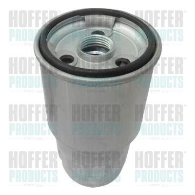 Fuel Filter - HOF4211 HOFFER - 2339064450, R2L113ZA5, 2339033020