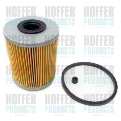 Fuel Filter - HOF4229 HOFFER - 05818509, 1541567JA0000, 1640000QAU