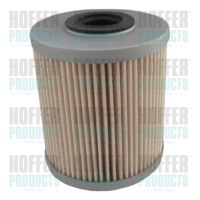 Kraftstofffilter - HOF4811 HOFFER - 1640500Q0C, 4416191, 7701475229