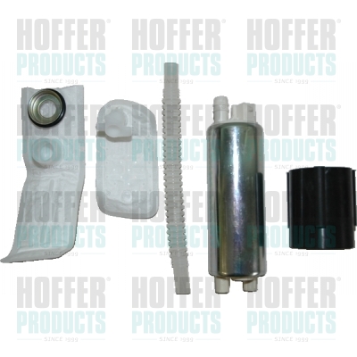 Repair Kit, fuel pump - HOF7506978 HOFFER - 25363861*, 25186924*, 320910106