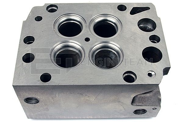 Cylinder Head + valves - HL0099 ET ENGINETEAM - 51.03100.6053, 51.03100.6802, 51.03100.6807