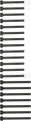 Cylinder Head Bolt Set - 14-32129-02 VICTOR REINZ - 022103384C(13x), 022103384C(13X), 1118008(13x)